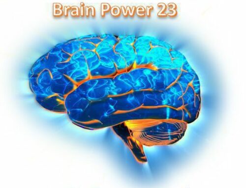 Einladung zur Finepower Webinar-Reihe „Brain Power 2023“