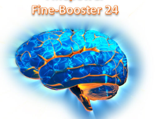 Einladung zur Finepower Webinar-Reihe „Fine-Booster 2024“
